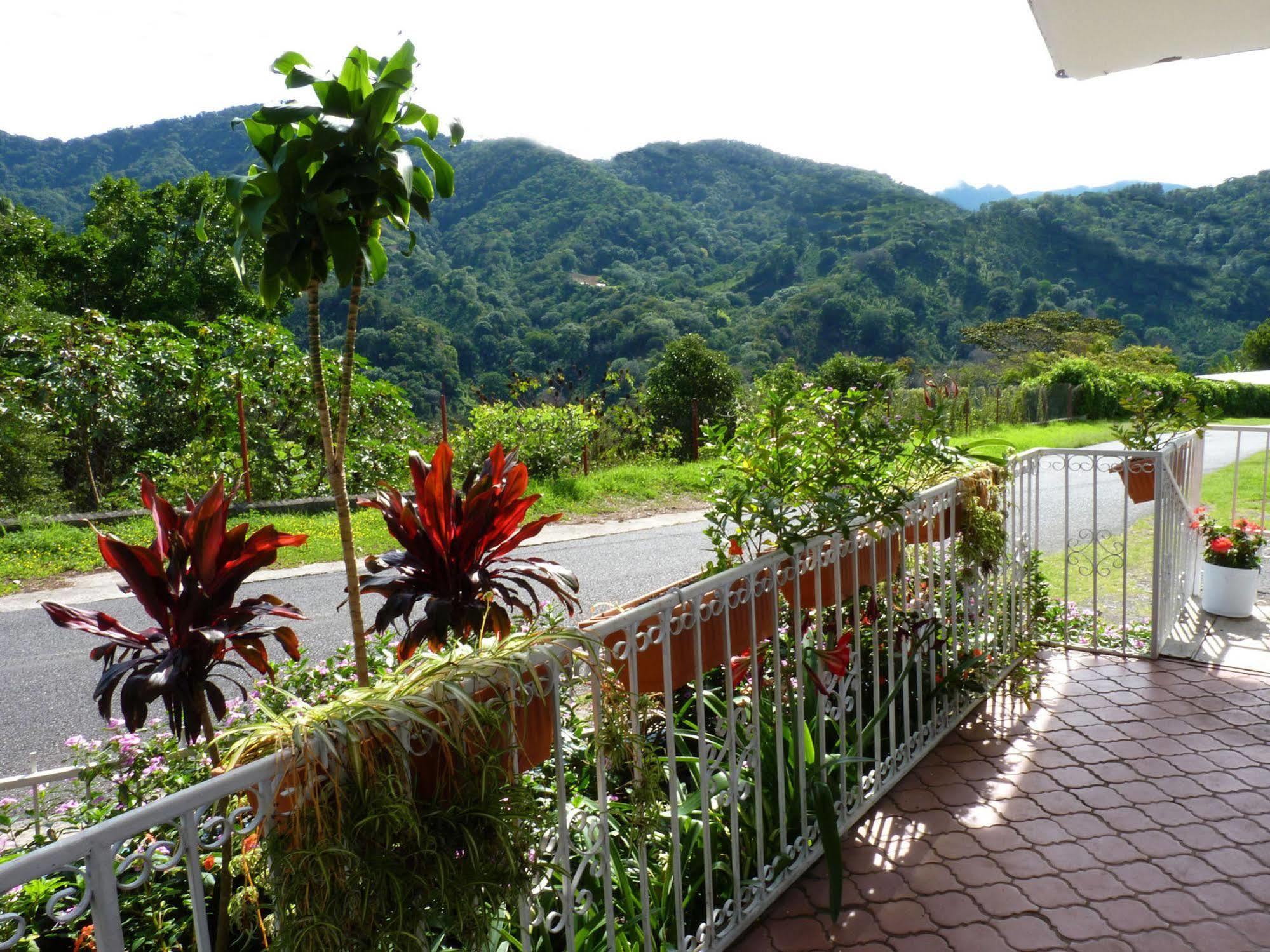Autana Bed & Breakfast Boquete Dış mekan fotoğraf