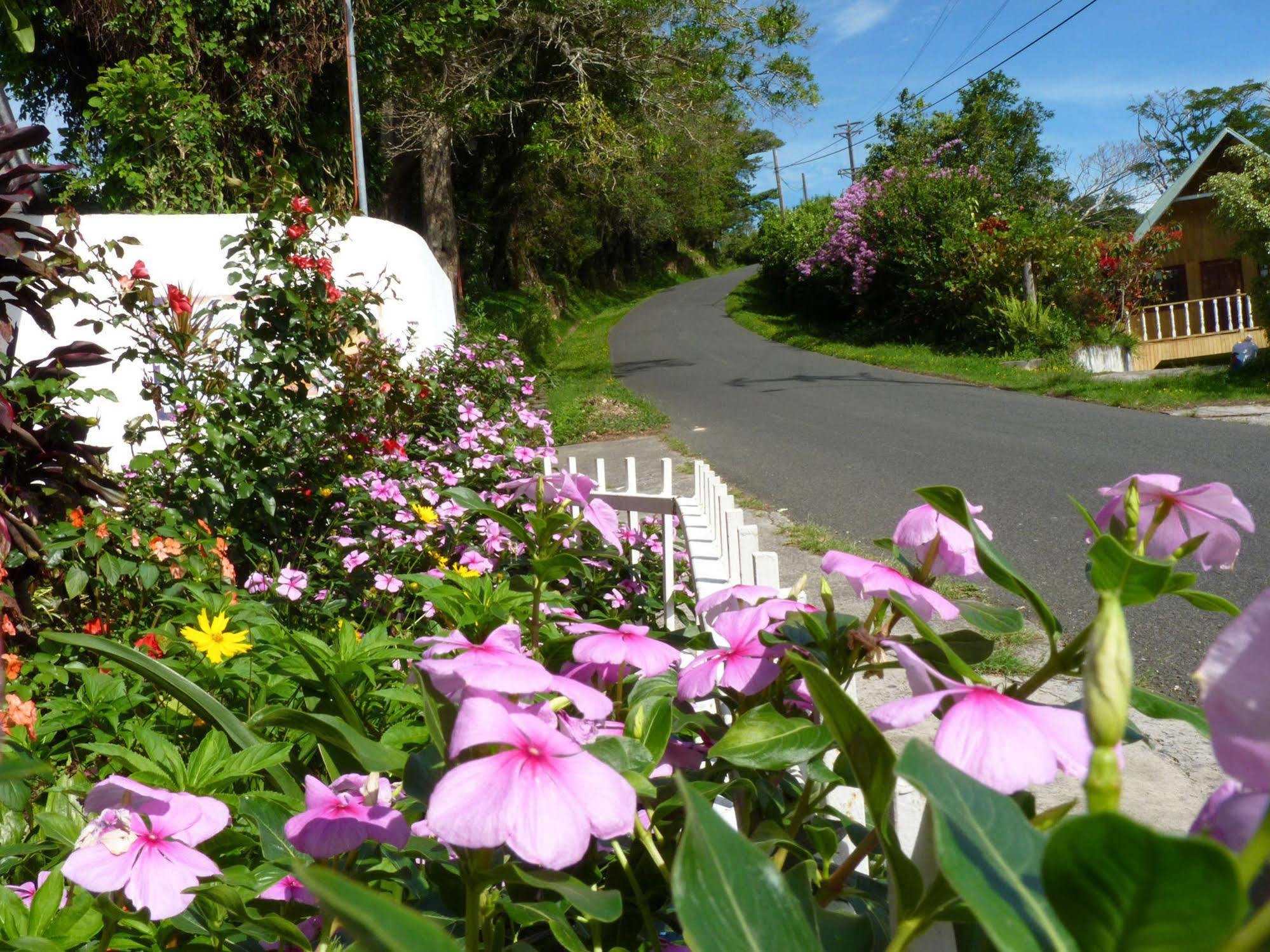 Autana Bed & Breakfast Boquete Dış mekan fotoğraf